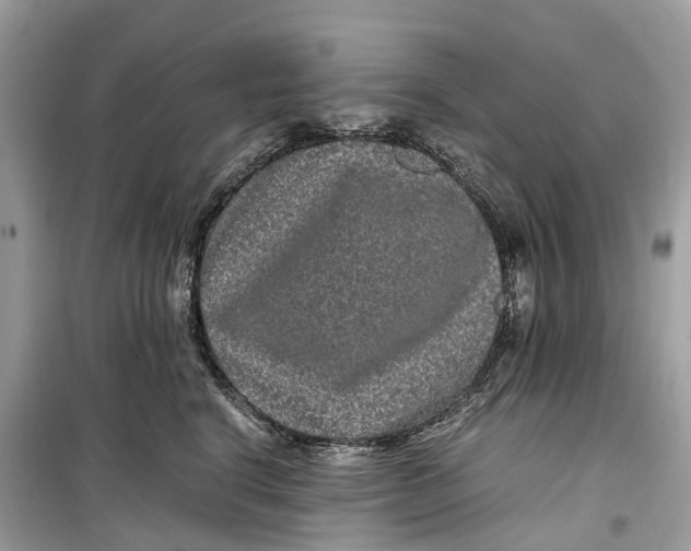 X0000099310664200805231404