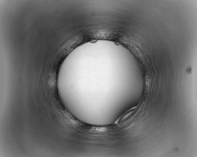 X0000099310665200805231404