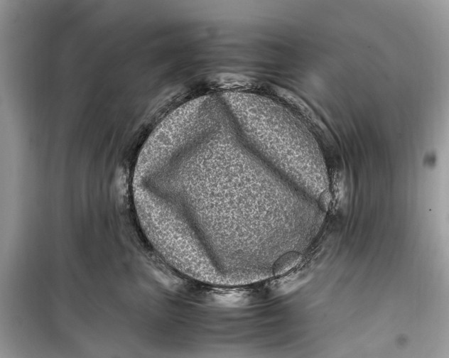 X0000099310667200805231404