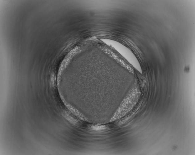 X0000099310669200805231404