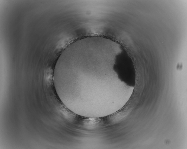 X0000099310672200805231404