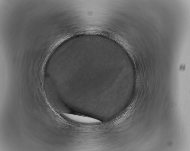 X0000099310673200805231404