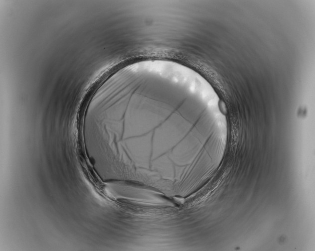 X0000099310674200805231404