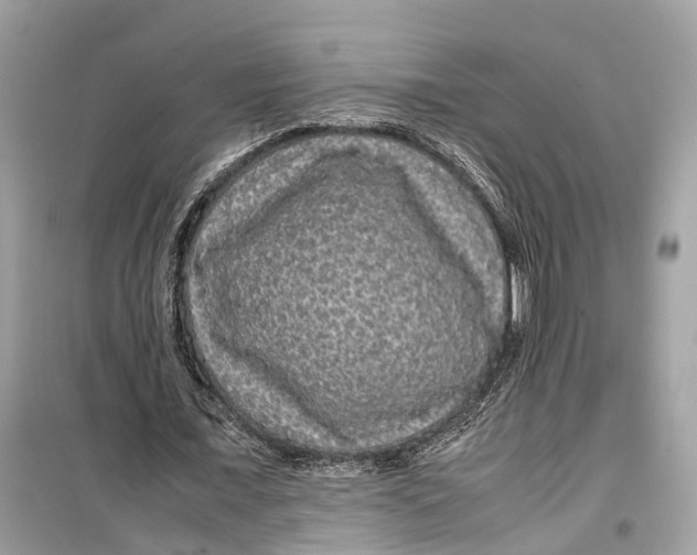 X0000099310675200805231404