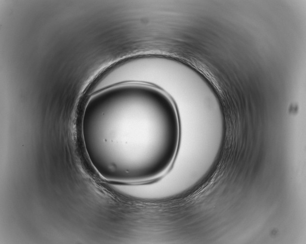 X0000099310676200805231404