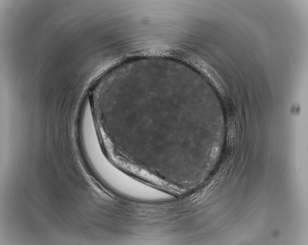 X0000099310677200805231404