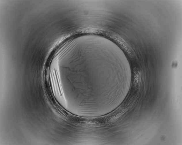 X0000099310678200805231404