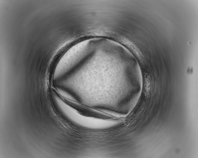 X0000099310680200805231404