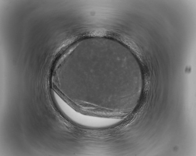 X0000099310681200805231404