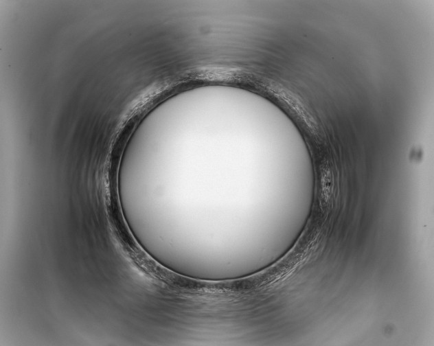 X0000099310682200805231404