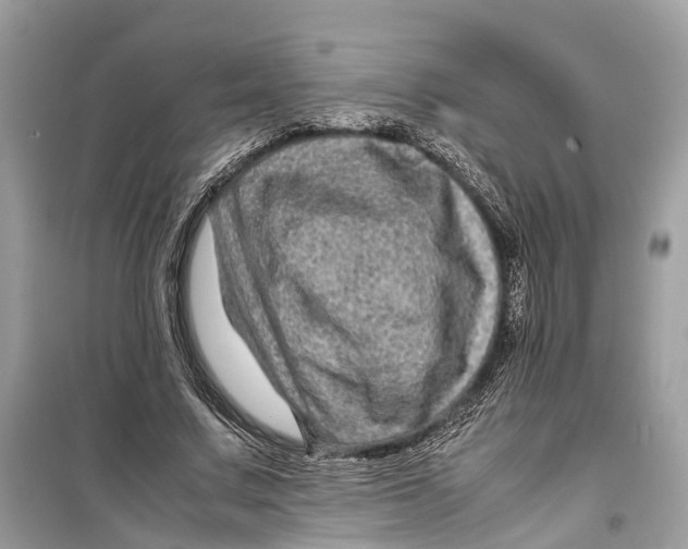 X0000099310683200805231404