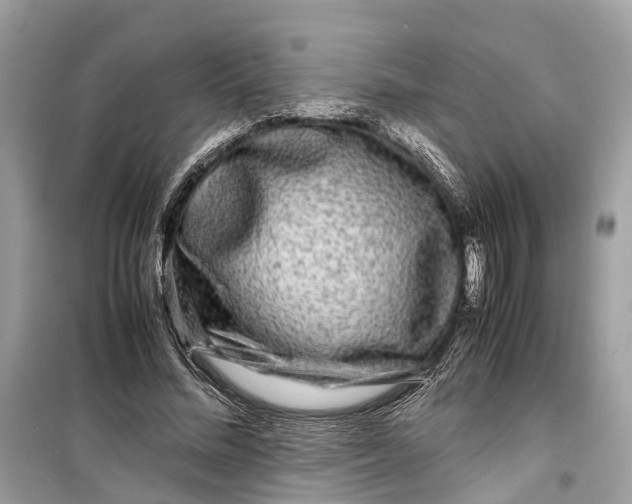 X0000099310684200805231404