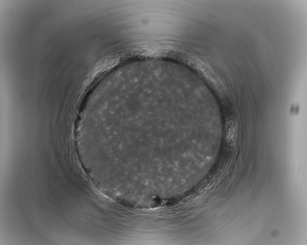 X0000099310685200805231403