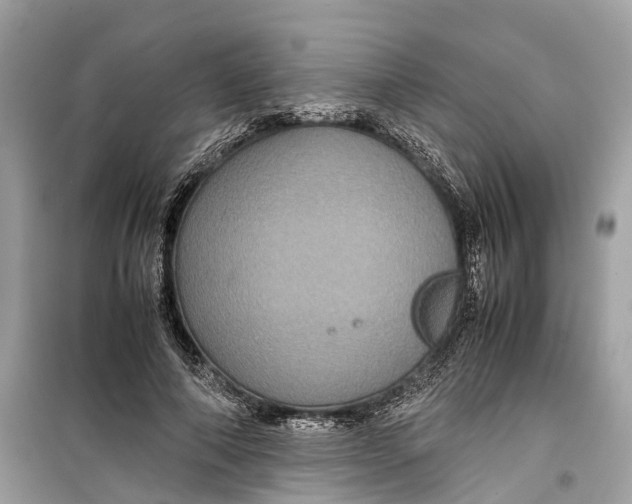 X0000099310690200805231403