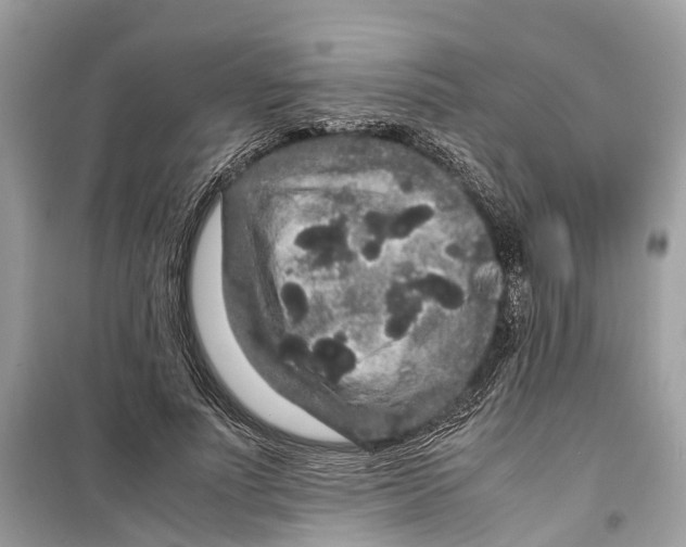 X0000099310691200805231403