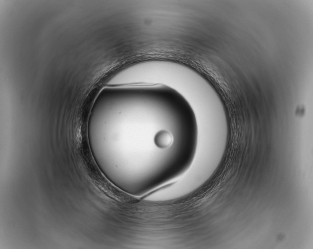 X0000099310692200805231403