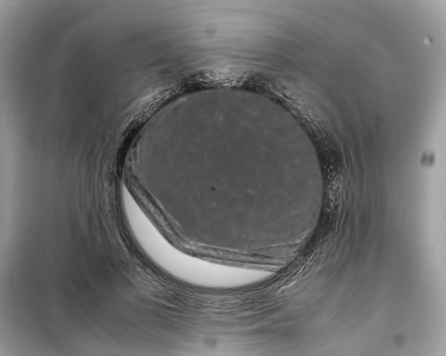 X0000099310693200805231403