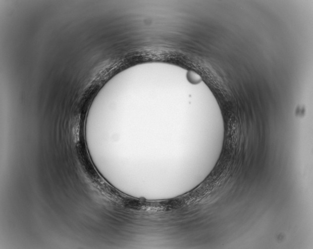 X0000099310694200805231403