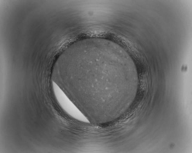 X0000099310695200805231403