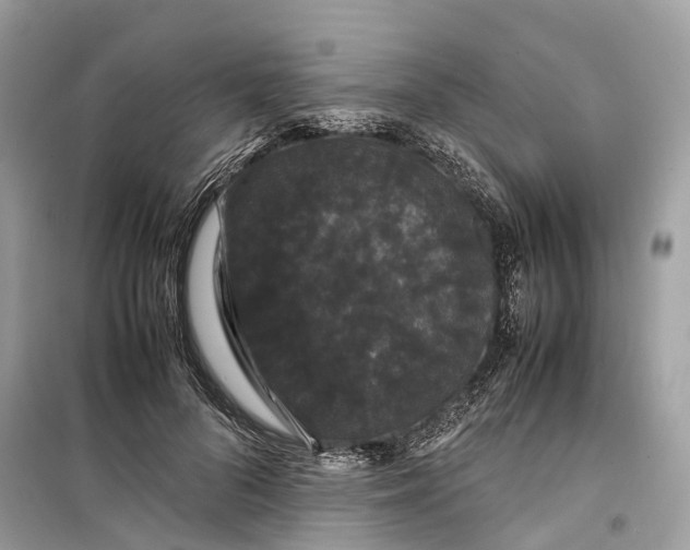 X0000099310696200805231403