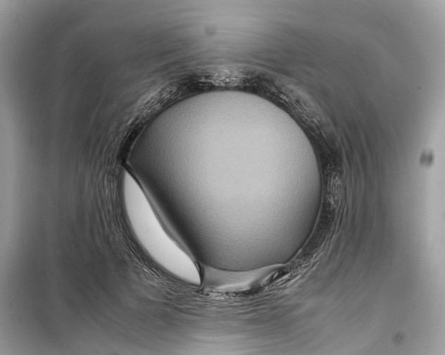 X0000099310697200805231403