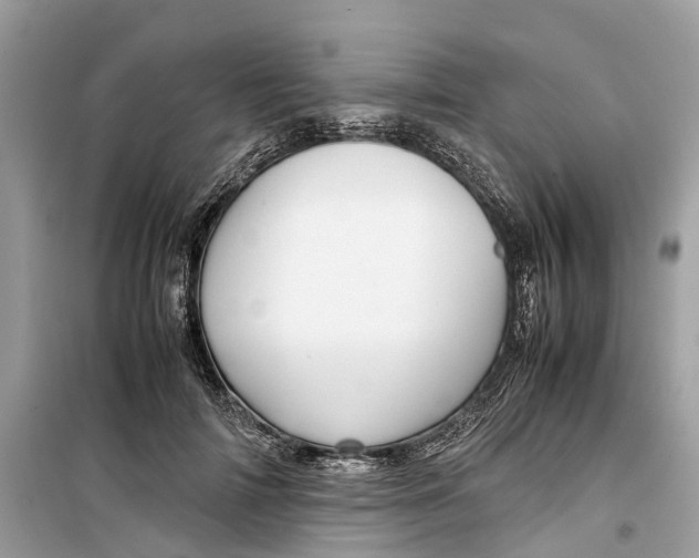 X0000099310698200805231403