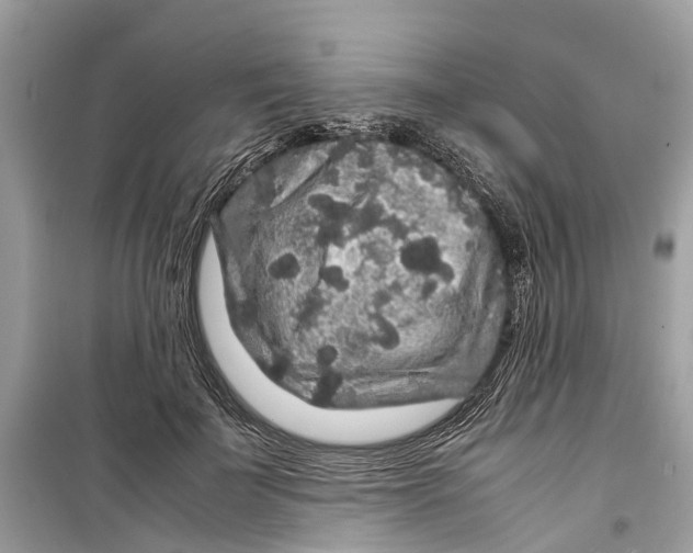 X0000099310699200805231403