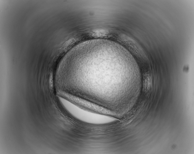 X0000099310700200805231403