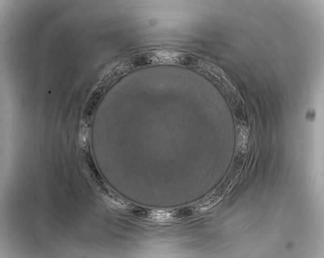 X0000099310701200805231403