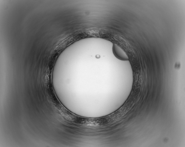 X0000099310702200805231403