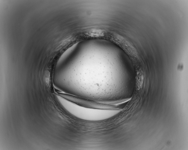 X0000099310704200805231403