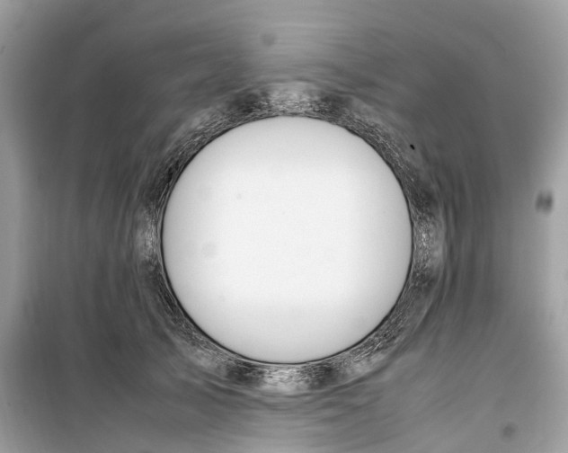 X0000099310705200805231403