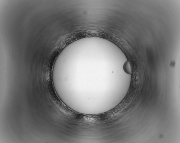 X0000099310706200805231403