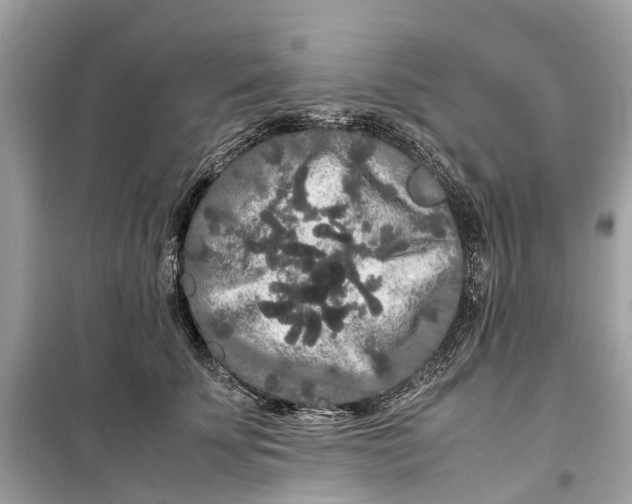 X0000099310707200805231403