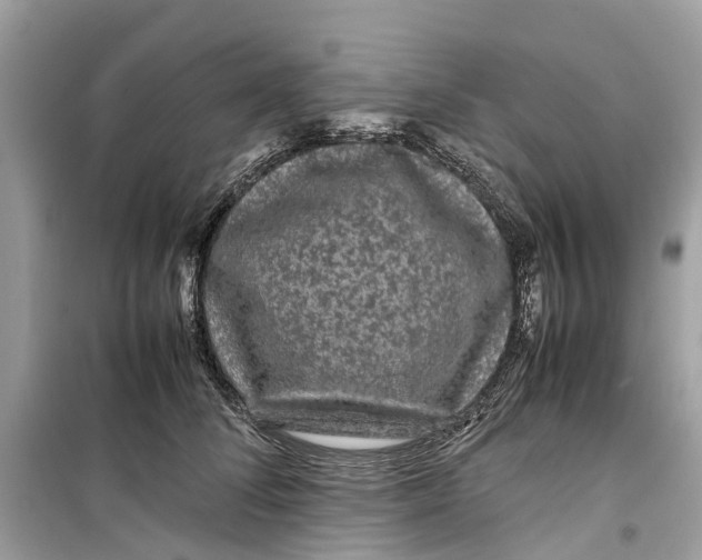 X0000099310708200805231403