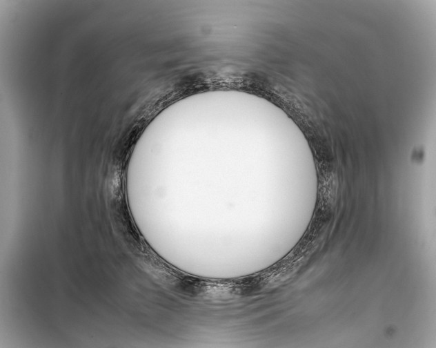 X0000099310709200805231403