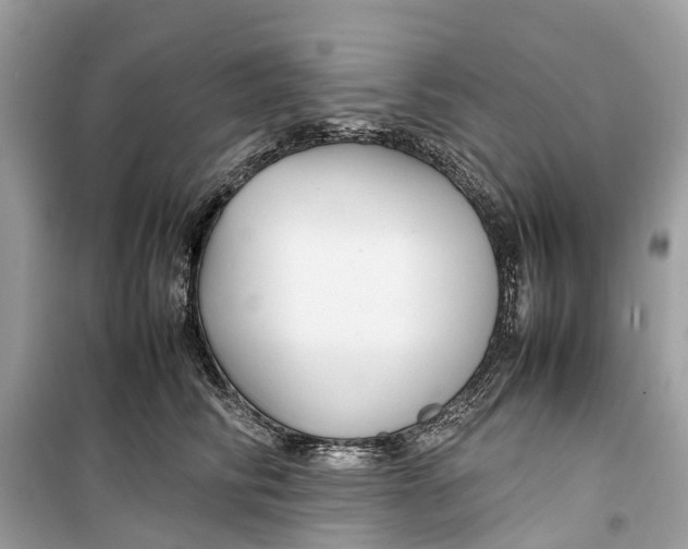 X0000099310710200805231403