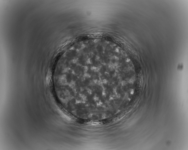 X0000099310711200805231403