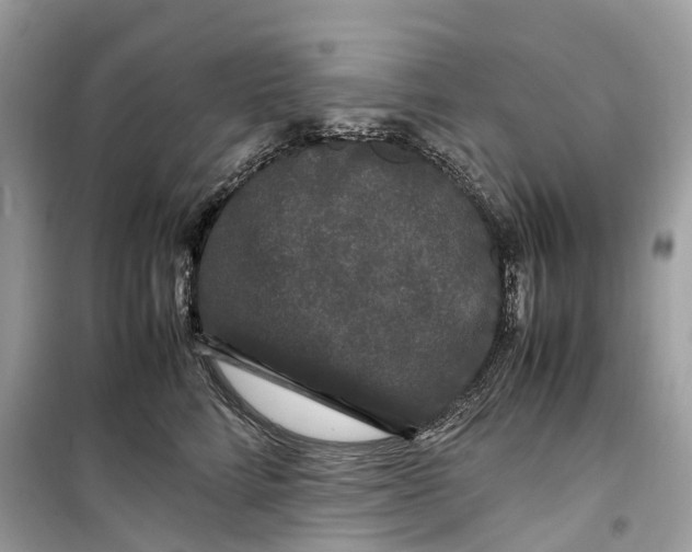 X0000099310712200805231403