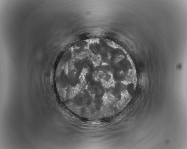 X0000099310715200805231403