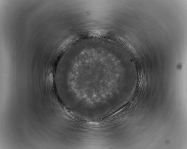 X0000099310716200805231403