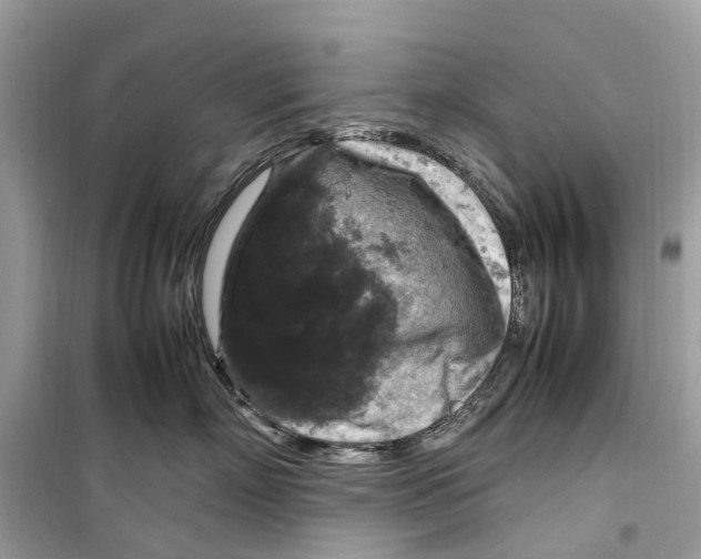 X0000099310718200805231403