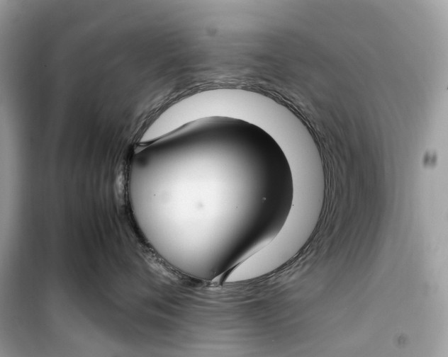 X0000099310720200805231403