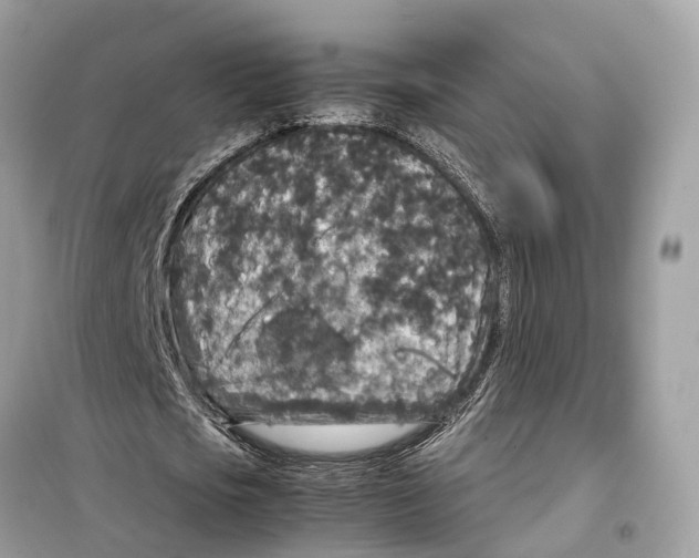 X0000099310721200805231402