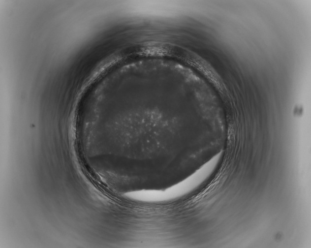 X0000099310722200805231402