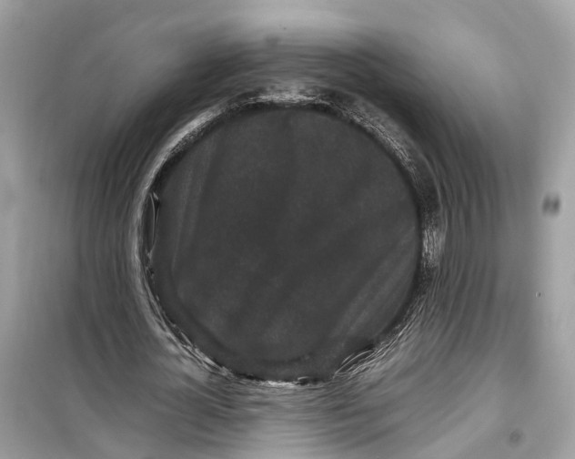 X0000099310724200805231402