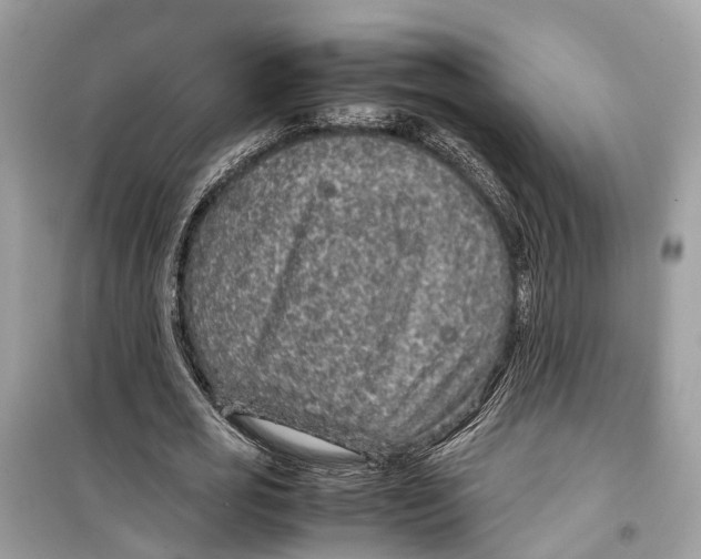 X0000099310725200805231402