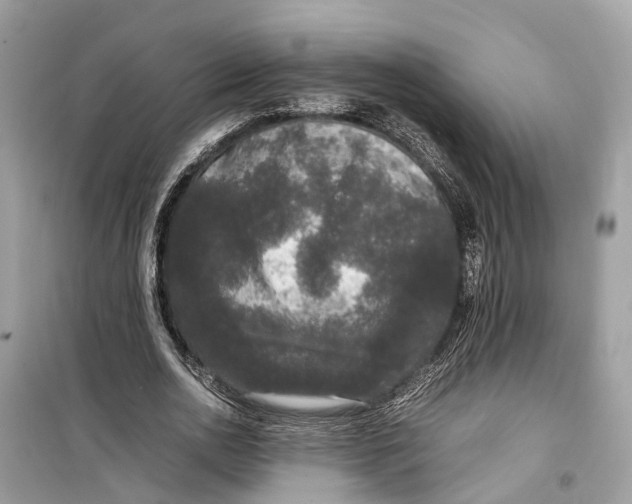 X0000099310726200805231402