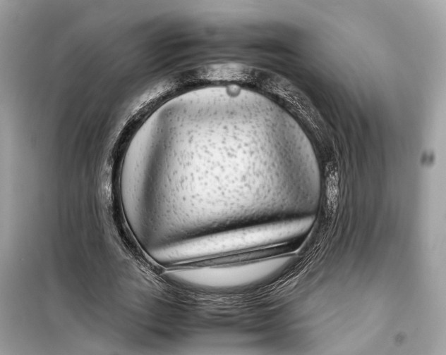 X0000099310727200805231402