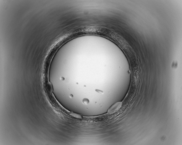 X0000099310728200805231402